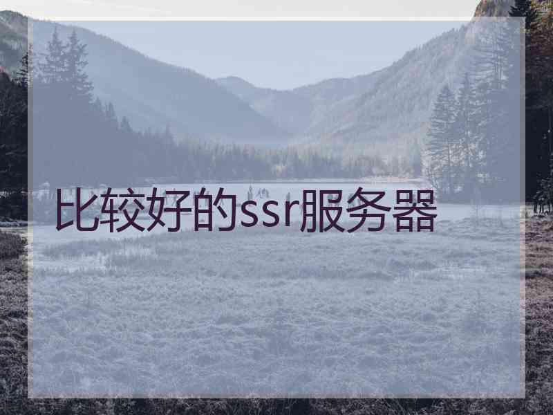 比较好的ssr服务器