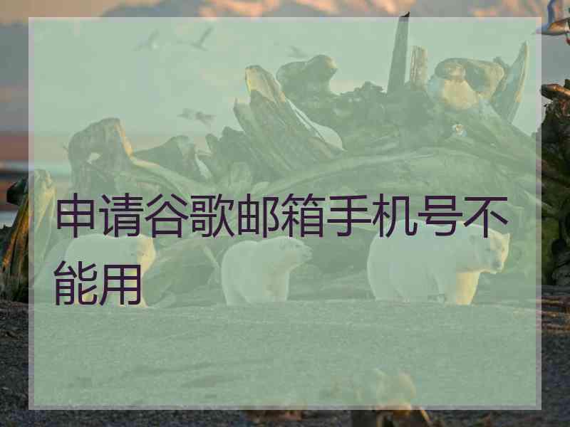 申请谷歌邮箱手机号不能用