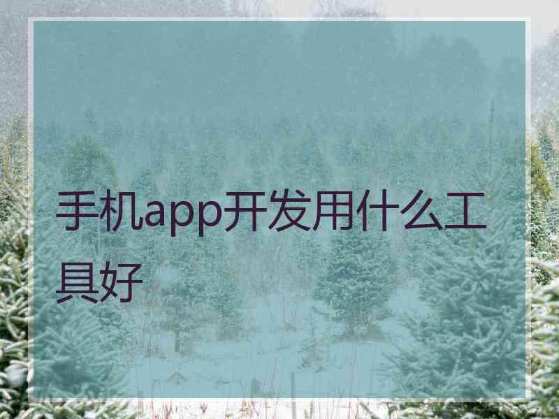 手机app开发用什么工具好