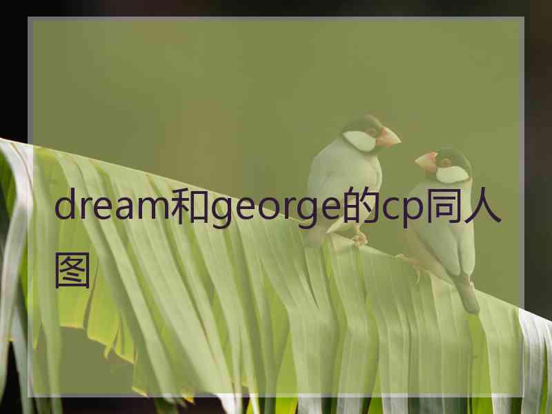 dream和george的cp同人图
