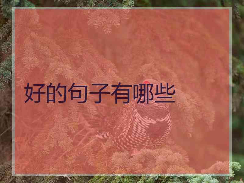 好的句子有哪些