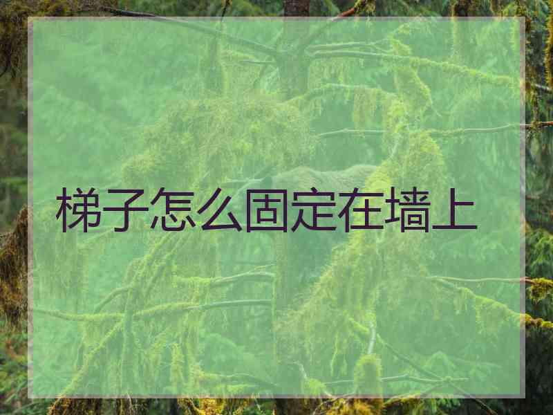 梯子怎么固定在墙上