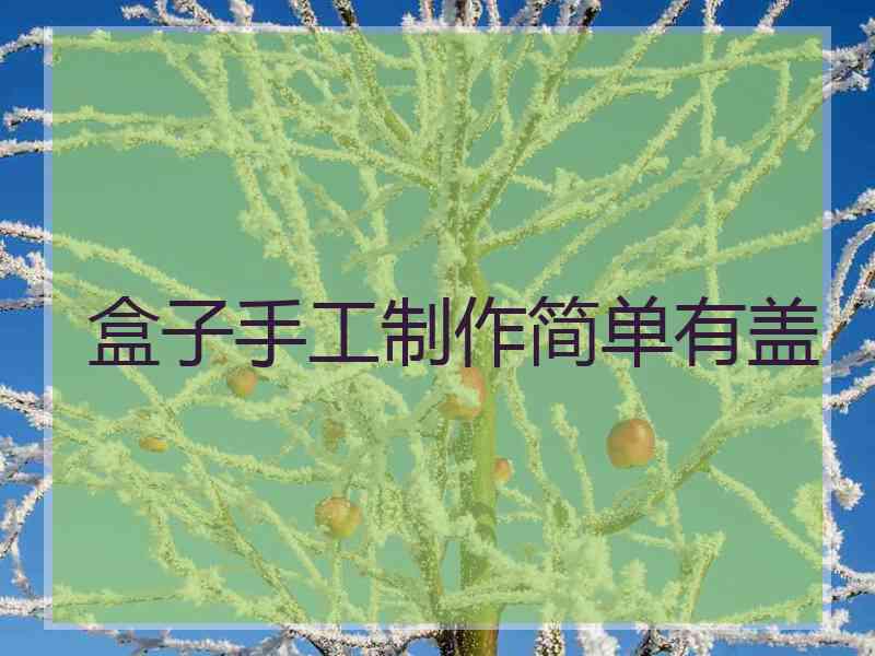 盒子手工制作简单有盖