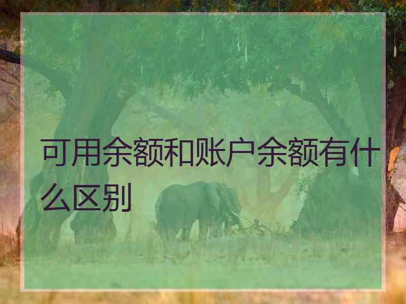 可用余额和账户余额有什么区别