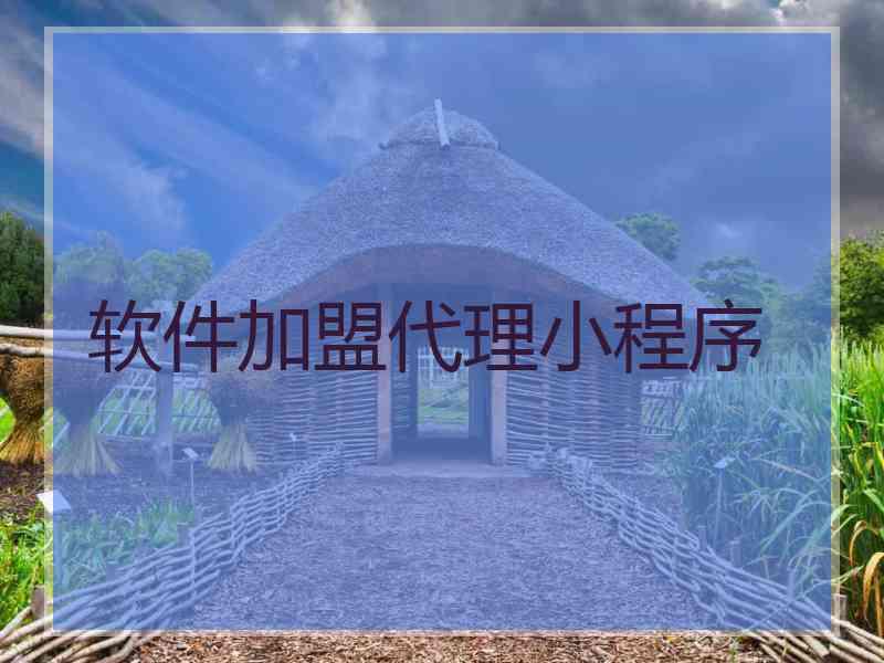 软件加盟代理小程序