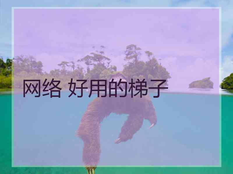 网络 好用的梯子
