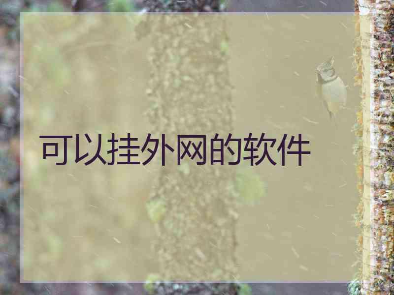 可以挂外网的软件