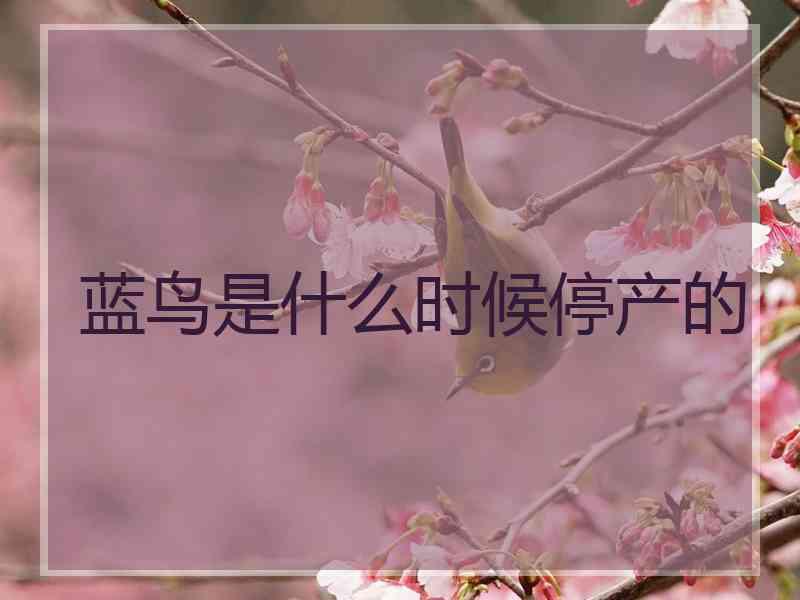 蓝鸟是什么时候停产的