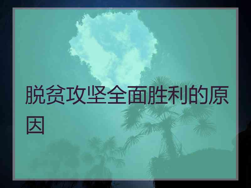 脱贫攻坚全面胜利的原因