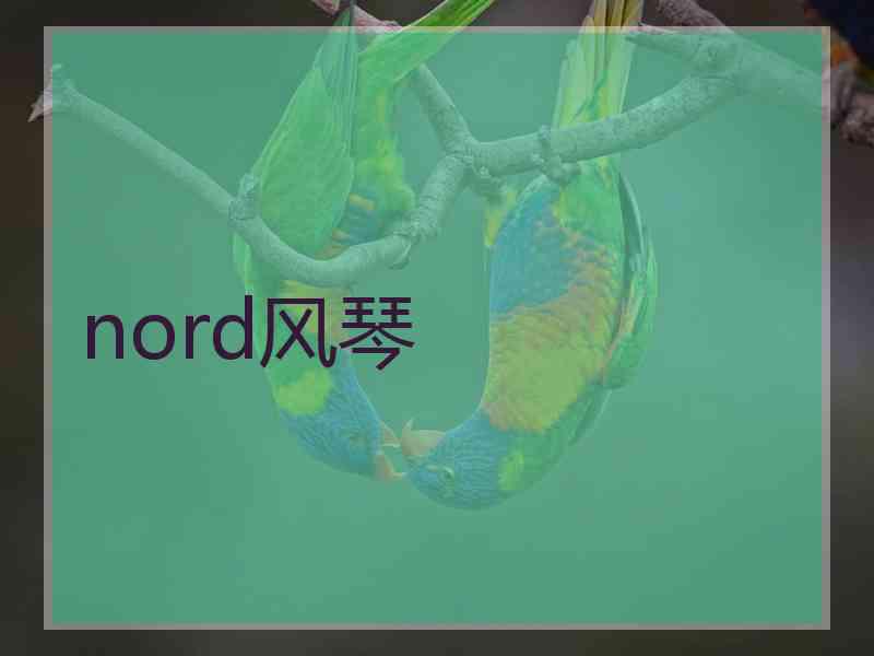 nord风琴