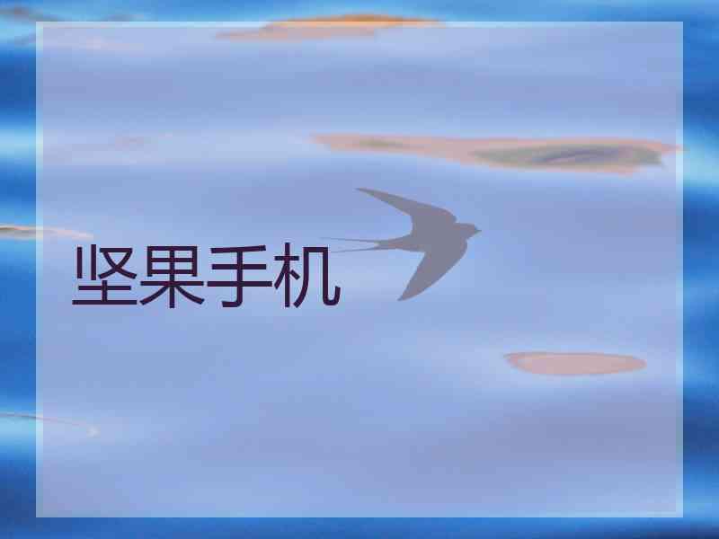 坚果手机