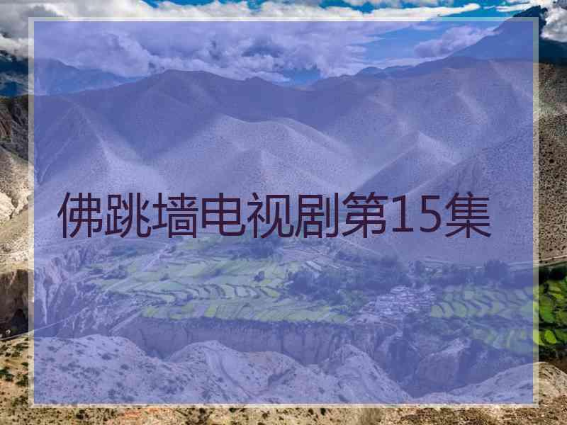 佛跳墙电视剧第15集