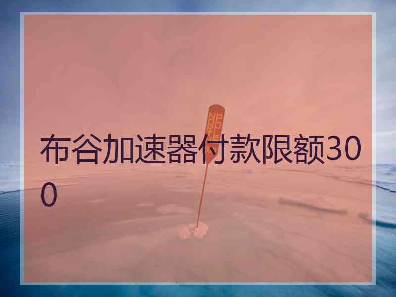 布谷加速器付款限额300