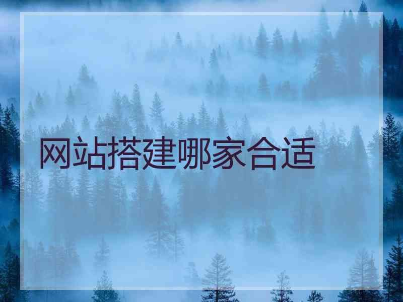 网站搭建哪家合适