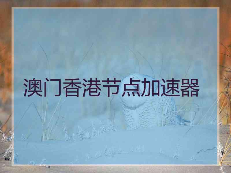 澳门香港节点加速器