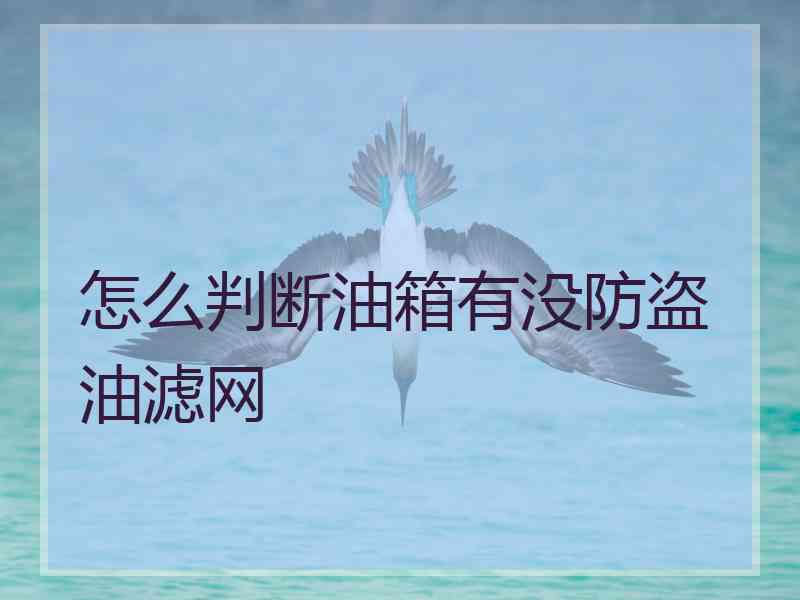 怎么判断油箱有没防盗油滤网