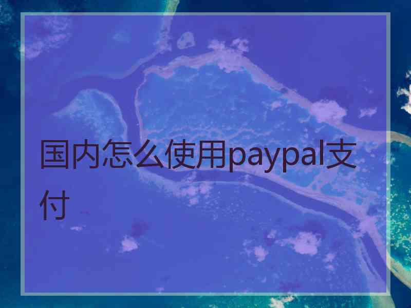 国内怎么使用paypal支付