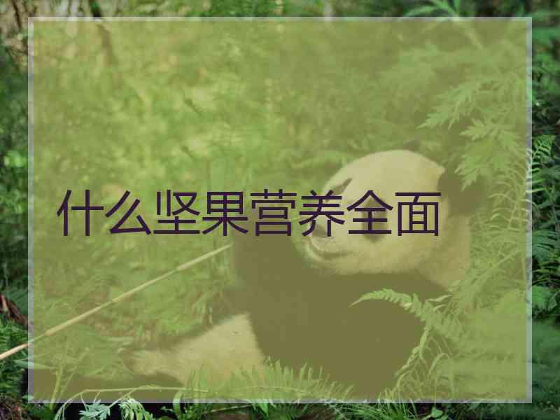 什么坚果营养全面