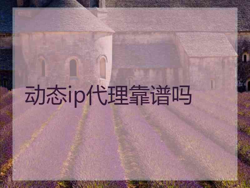动态ip代理靠谱吗