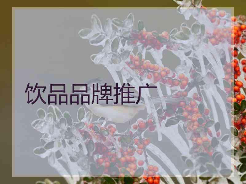饮品品牌推广