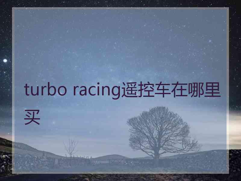 turbo racing遥控车在哪里买