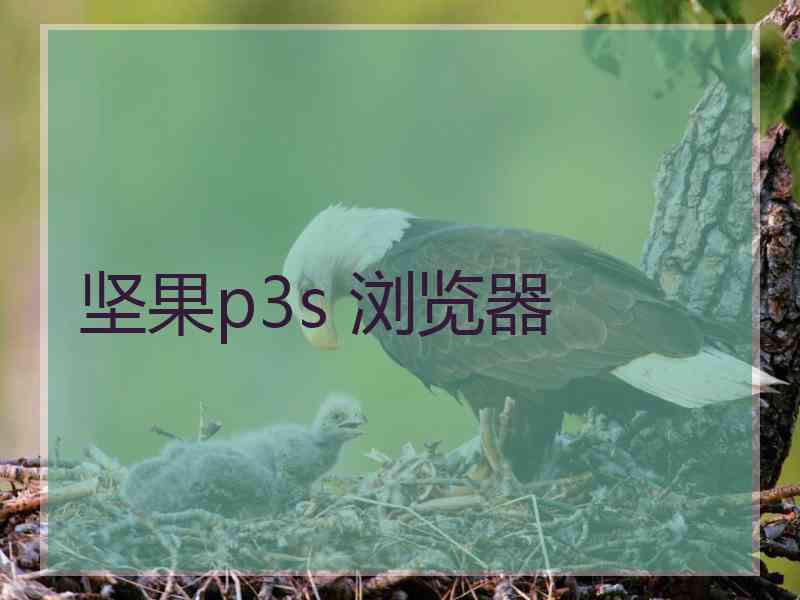 坚果p3s 浏览器