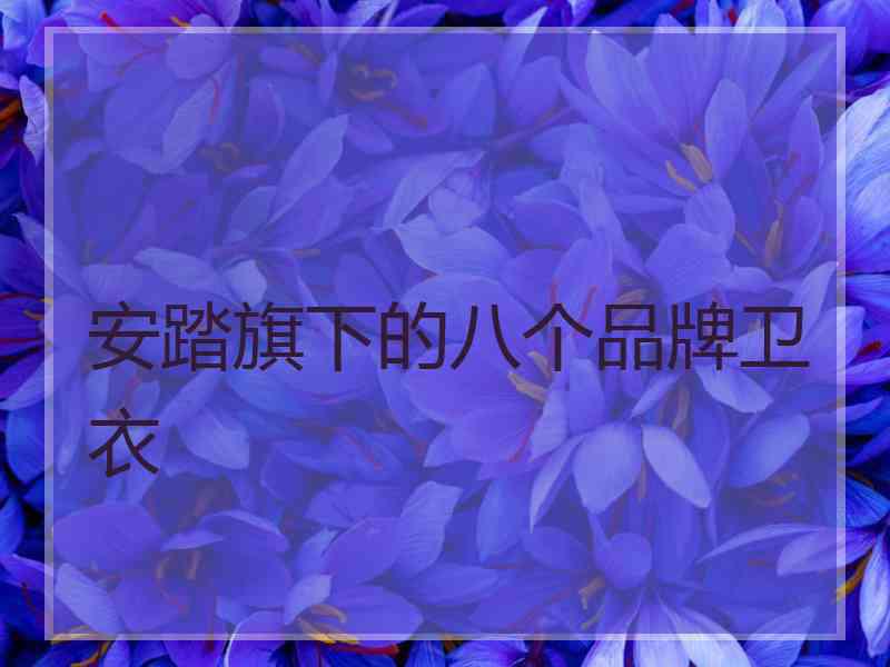 安踏旗下的八个品牌卫衣