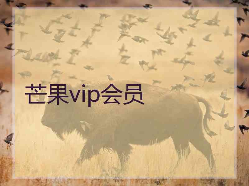 芒果vip会员