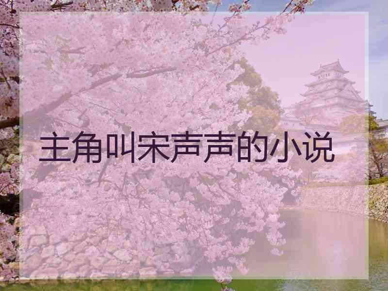 主角叫宋声声的小说