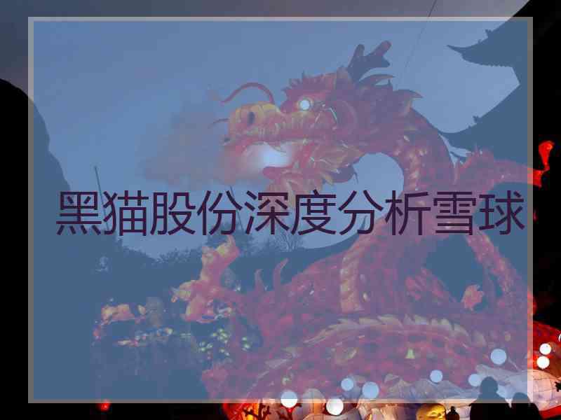 黑猫股份深度分析雪球