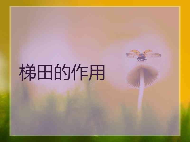 梯田的作用