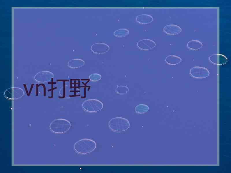 vn打野