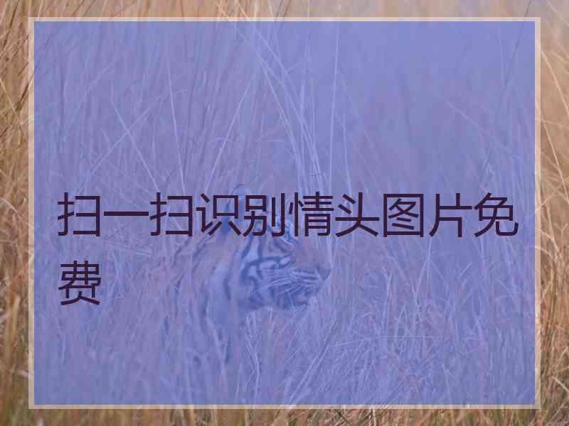 扫一扫识别情头图片免费