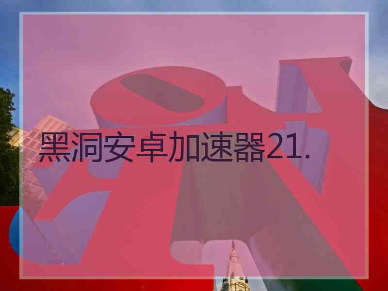 黑洞安卓加速器21.