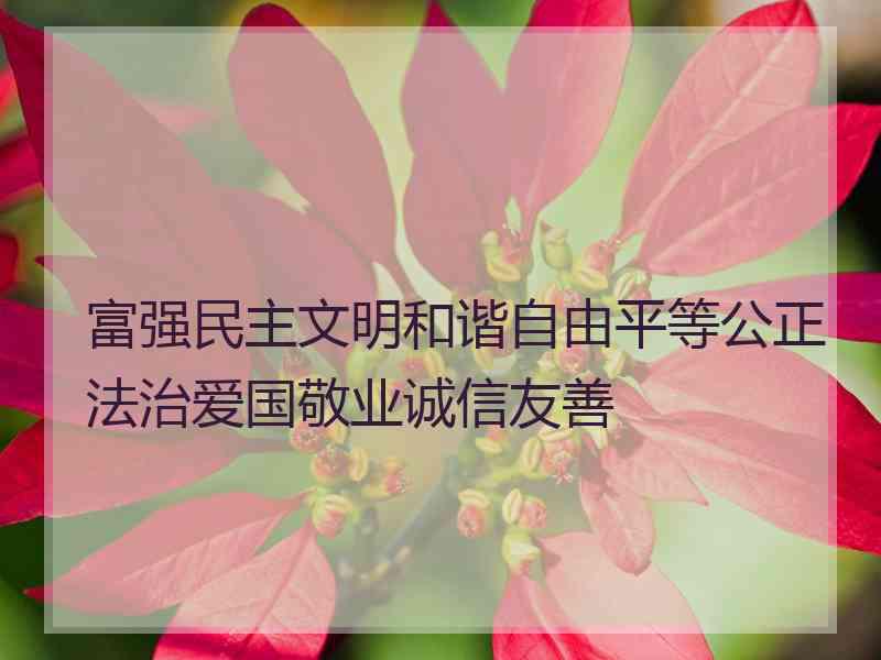 富强民主文明和谐自由平等公正法治爱国敬业诚信友善