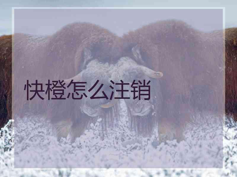 快橙怎么注销