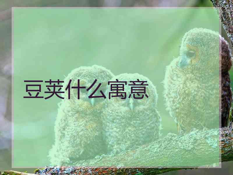 豆荚什么寓意