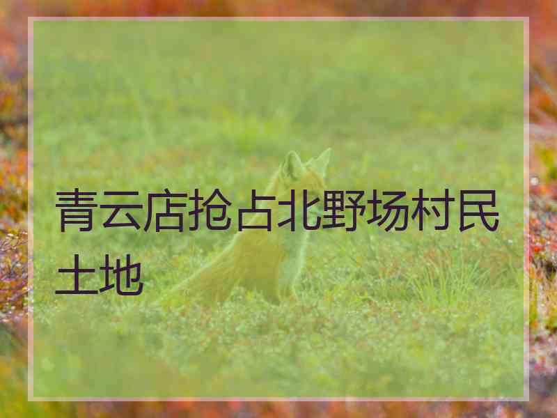 青云店抢占北野场村民土地