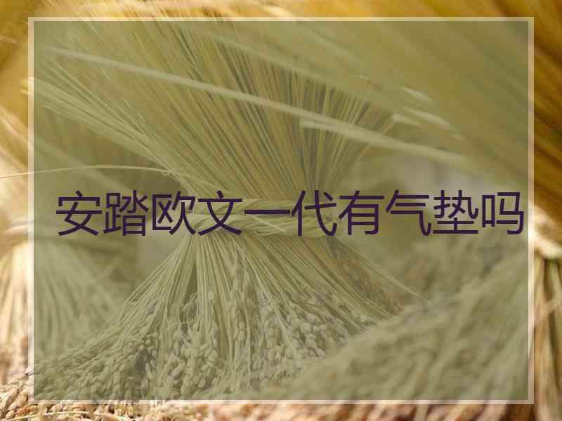 安踏欧文一代有气垫吗