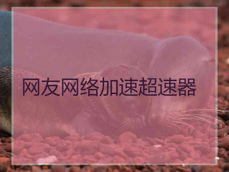 网友网络加速超速器