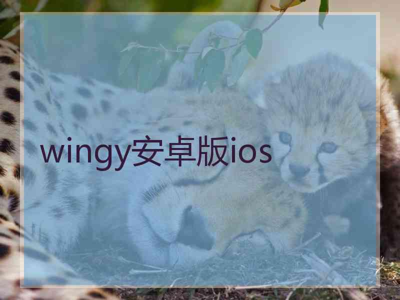 wingy安卓版ios
