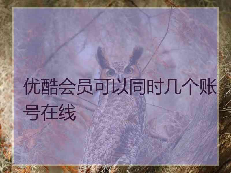 优酷会员可以同时几个账号在线