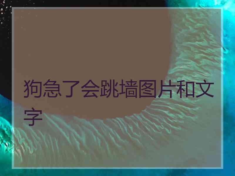 狗急了会跳墙图片和文字