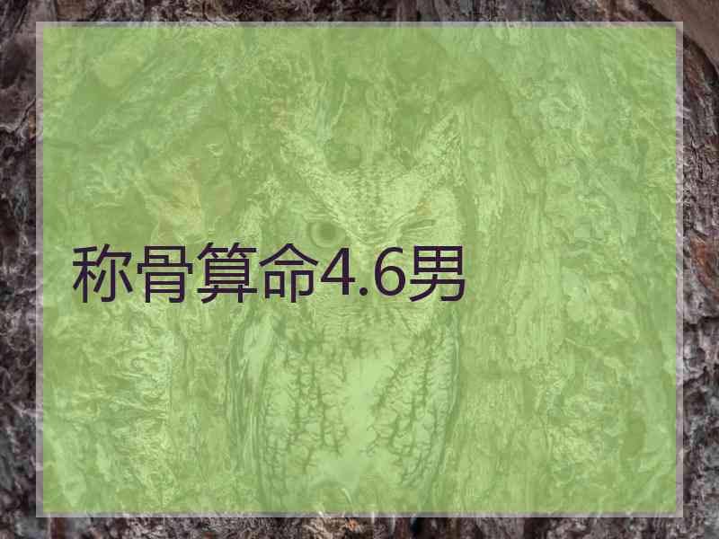 称骨算命4.6男