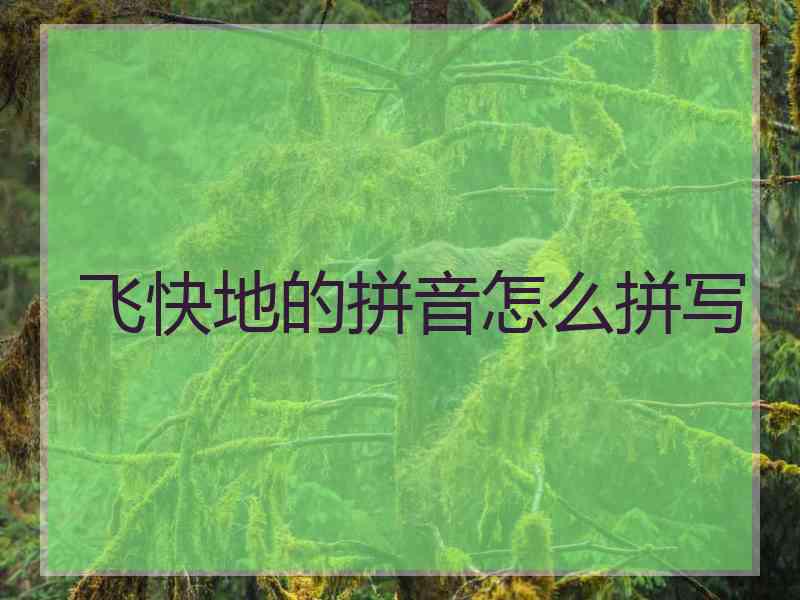 飞快地的拼音怎么拼写