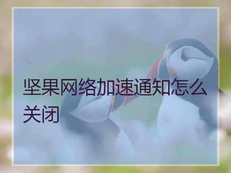 坚果网络加速通知怎么关闭