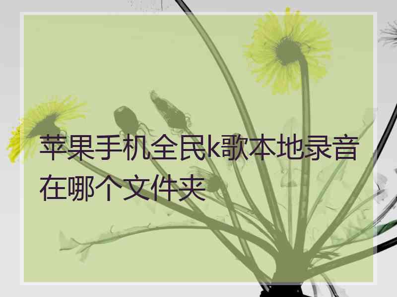 苹果手机全民k歌本地录音在哪个文件夹