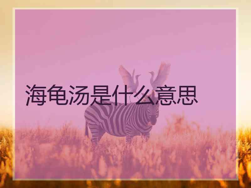 海龟汤是什么意思