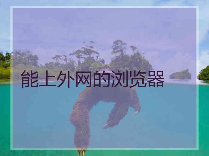 能上外网的浏览器
