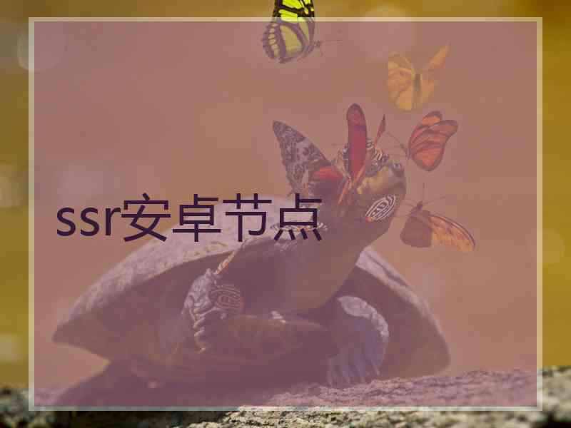 ssr安卓节点